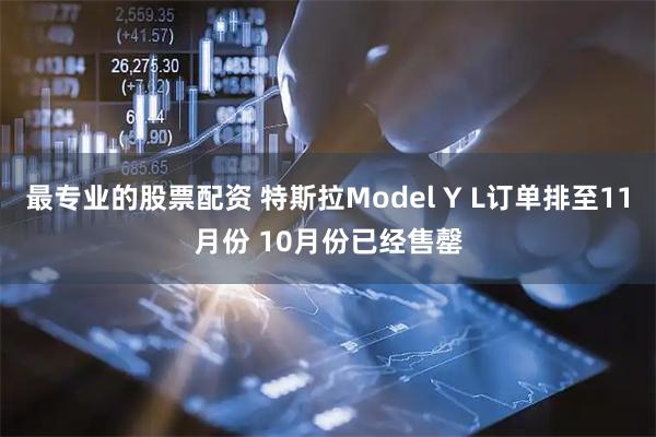 最专业的股票配资 特斯拉Model Y L订单排至11月份 10月份已经售罄
