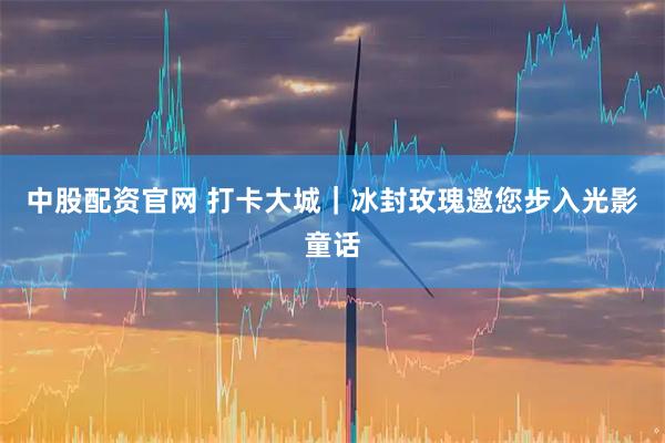 中股配资官网 打卡大城｜冰封玫瑰邀您步入光影童话