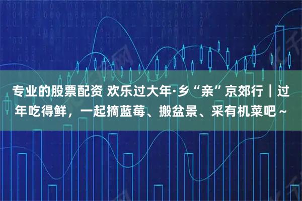 专业的股票配资 欢乐过大年·乡“亲”京郊行｜过年吃得鲜，一起摘蓝莓、搬盆景、采有机菜吧～